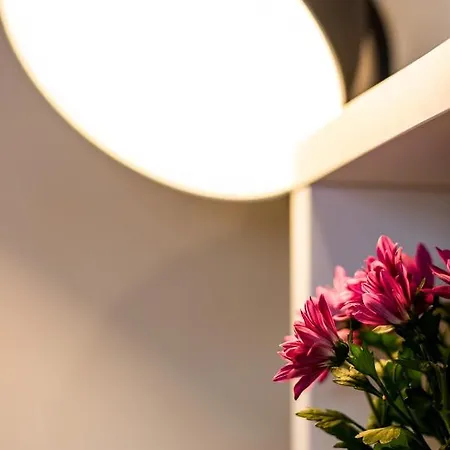 On The Hill 公寓 惠特比