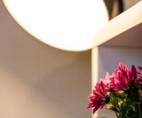 On The Hill 公寓 惠特比